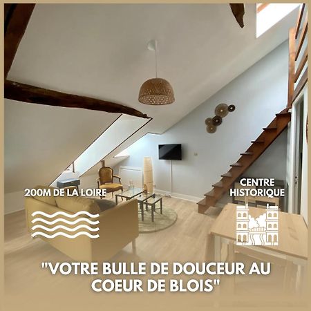 Le Cocon - Appartement En Hyper Centre Blois Esterno foto